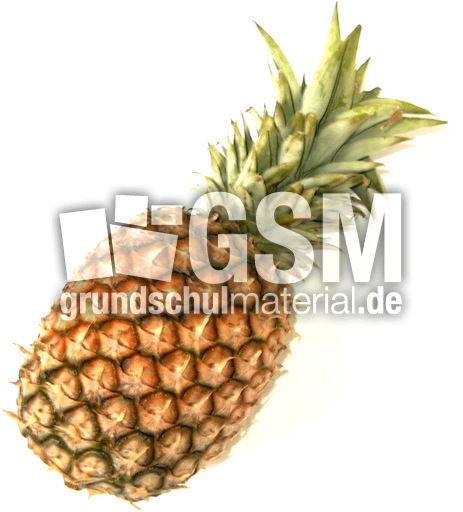 Ananas-1.jpg